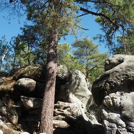 Gasthof A L'oree De La Foret 3*