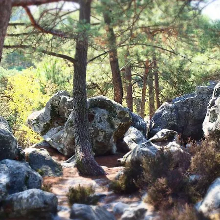 A L'oree De La Foret Recloses