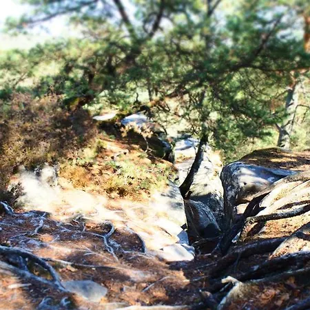 A L'oree De La Foret 3*