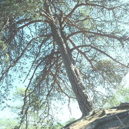 Gasthof A L'oree De La Foret